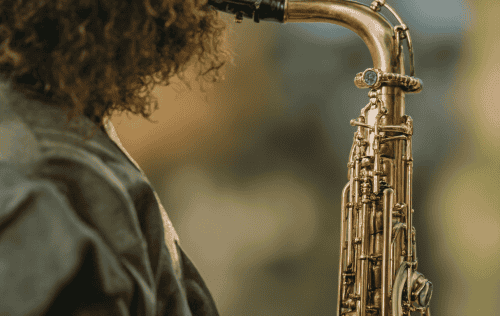 Langlebige Saxophonblätter Test: Die 5 besten (Bestenliste)